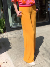 Load image into Gallery viewer, Aldo-Martins | Pants | 8239